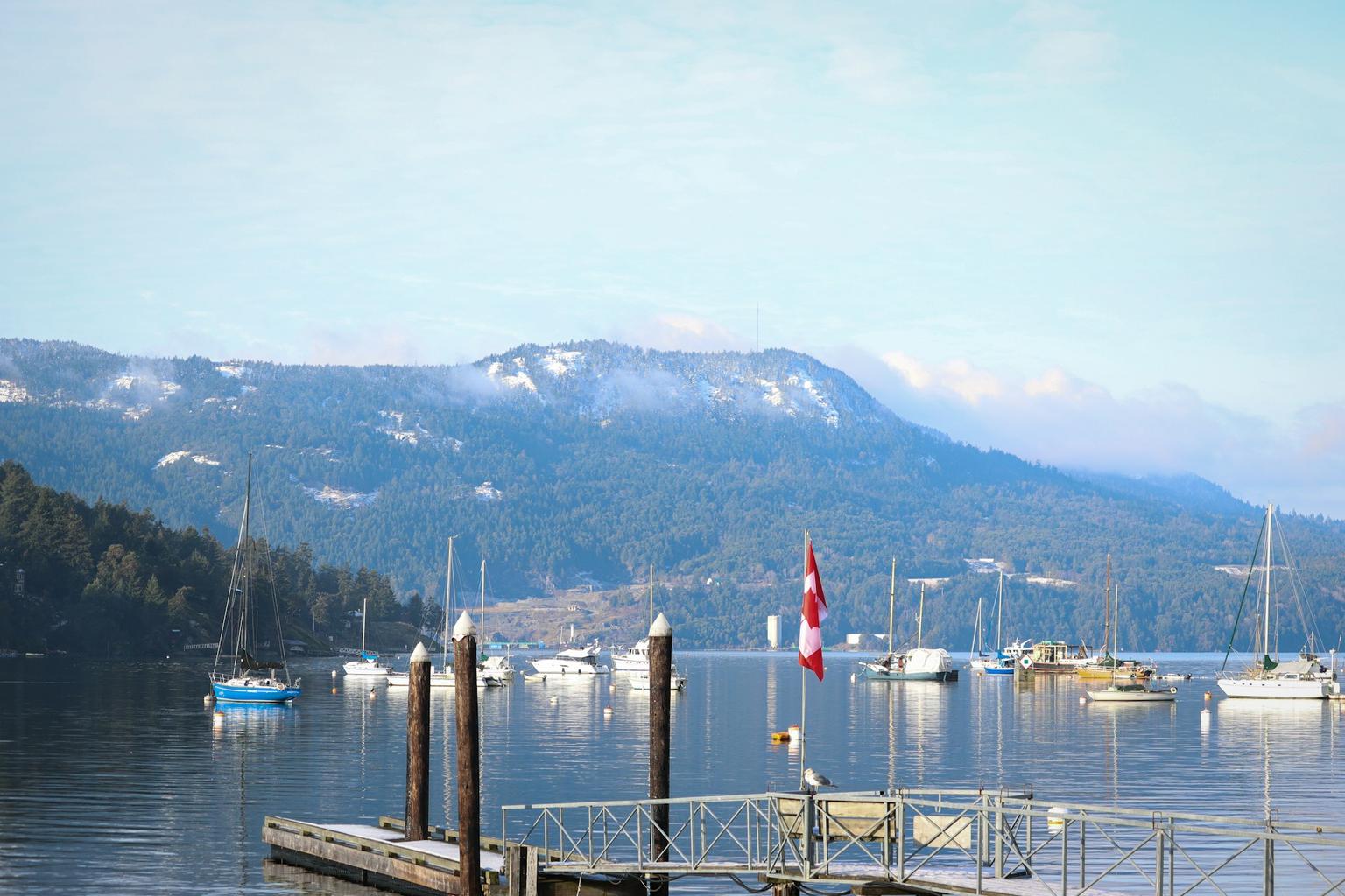tofino. photo by: Izzy Edey https://unsplash.com/@edeyphotograph